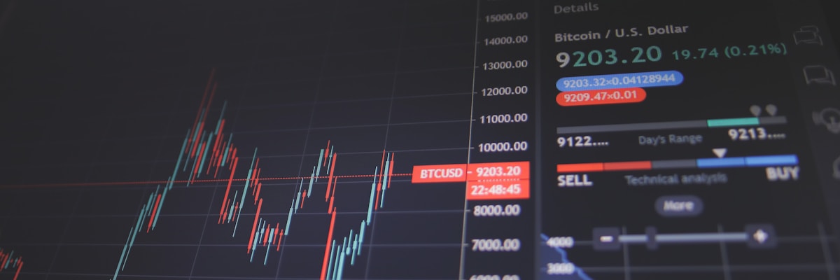 Investment Opportunities